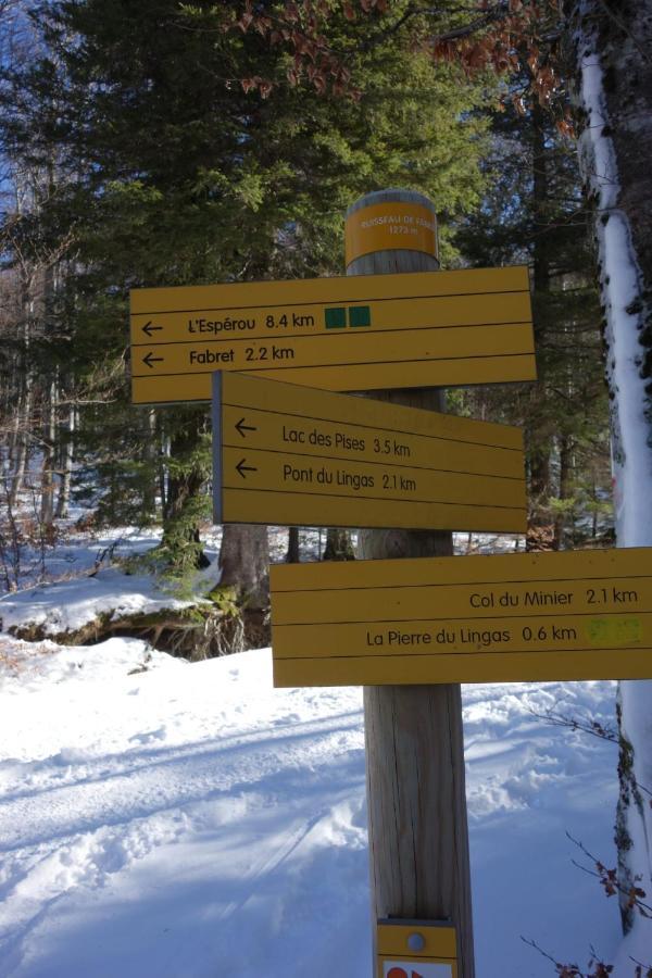 Gite D'Aigoual Valleraugue Exteriör bild