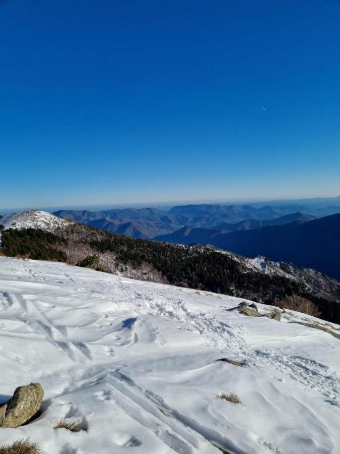 Gite D'Aigoual Valleraugue Exteriör bild