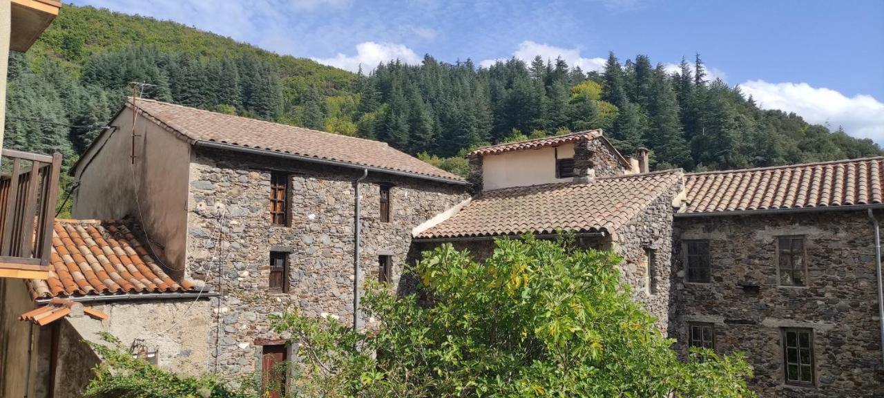 Gite D'Aigoual Valleraugue Exteriör bild